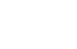 icon_winsdom_W